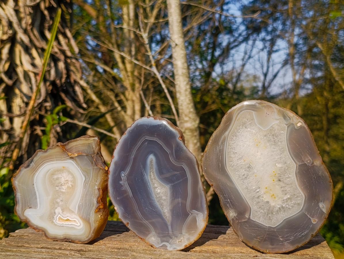 Polished Banded Agate Slices with Natural Edging x 6 From Madagascar - Toprock Gemstones and Minerals 
