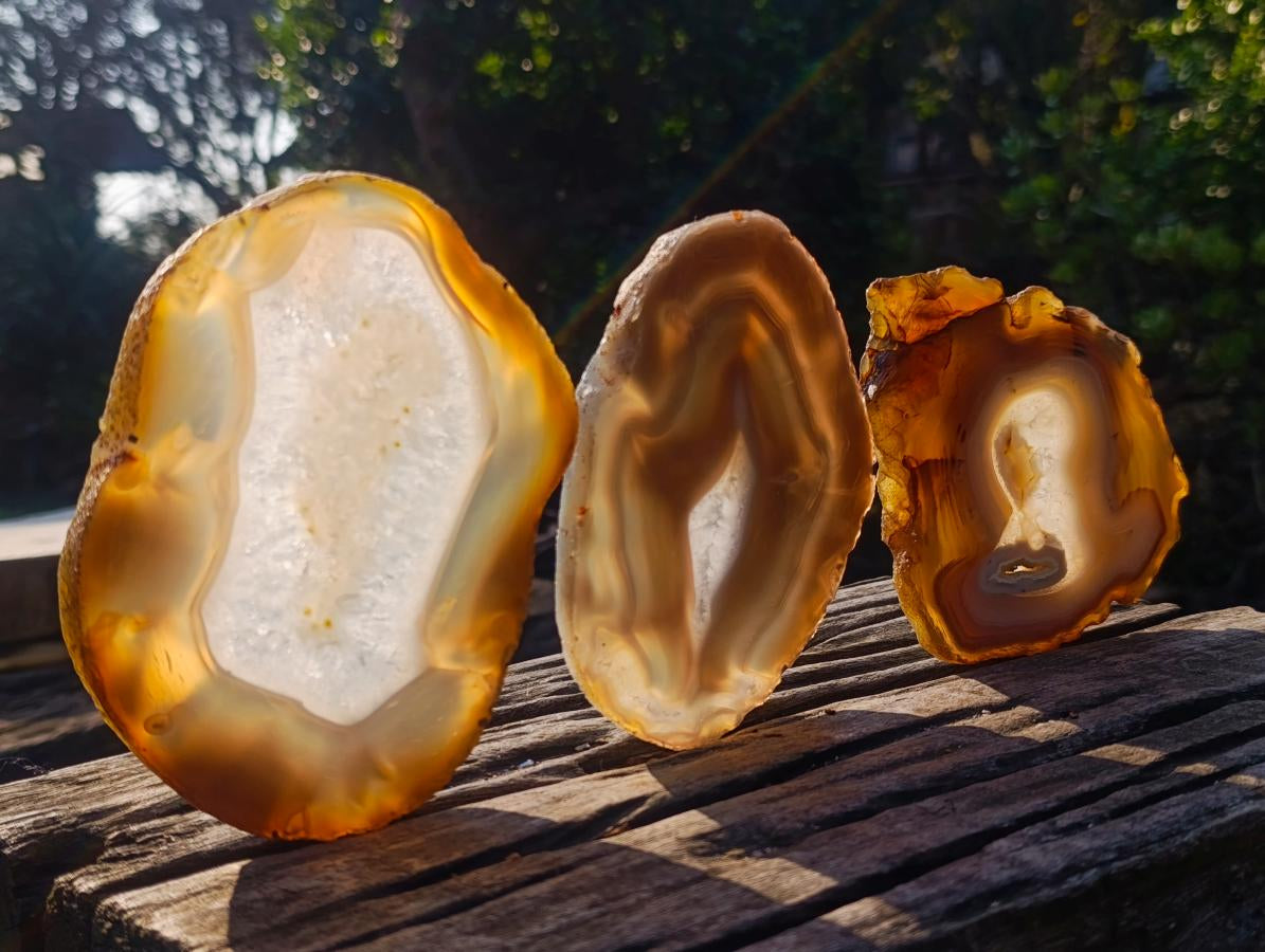 Polished Banded Agate Slices with Natural Edging x 6 From Madagascar - Toprock Gemstones and Minerals 