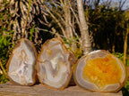Polished Banded Agate Slices with Natural Edging x 6 From Madagascar - Toprock Gemstones and Minerals 