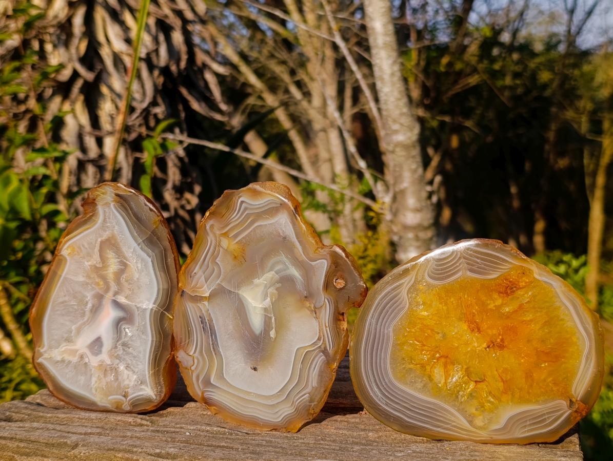 Polished Banded Agate Slices with Natural Edging x 6 From Madagascar - Toprock Gemstones and Minerals 