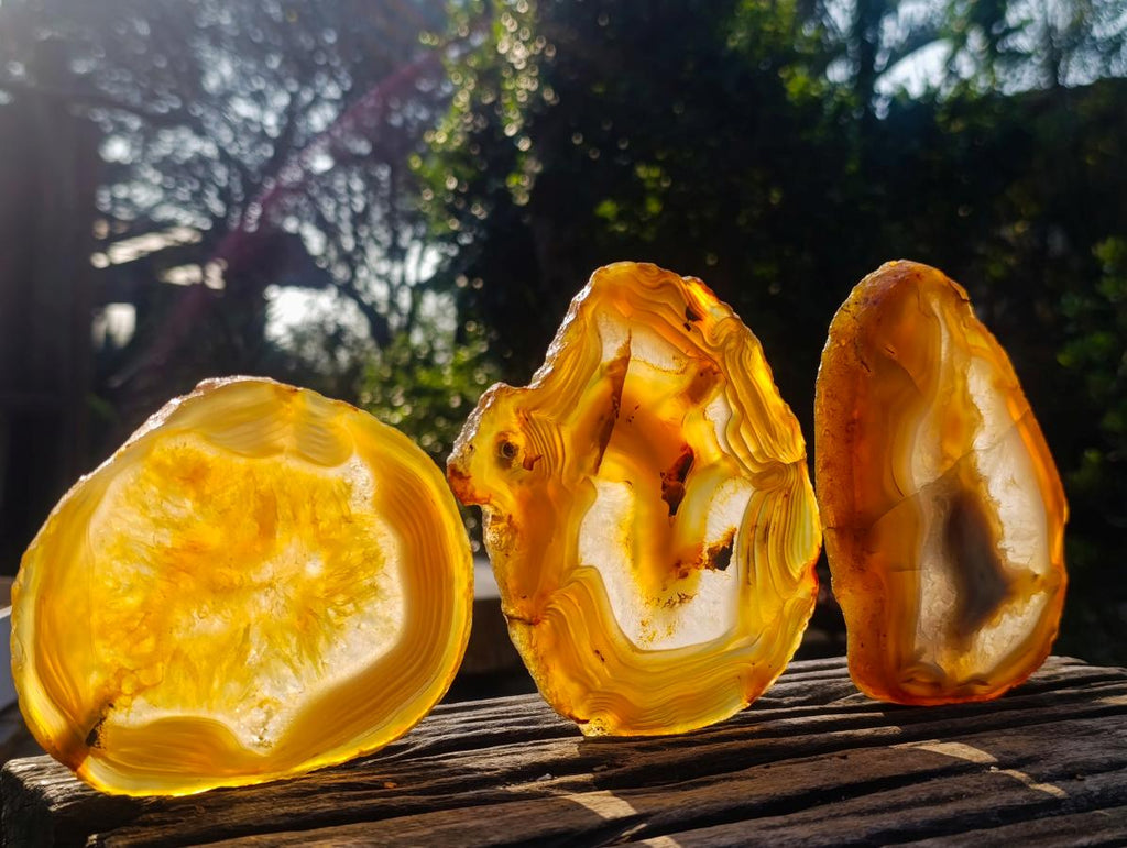 Polished Banded Agate Slices with Natural Edging x 6 From Madagascar - Toprock Gemstones and Minerals 