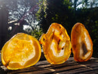 Polished Banded Agate Slices with Natural Edging x 6 From Madagascar - Toprock Gemstones and Minerals 