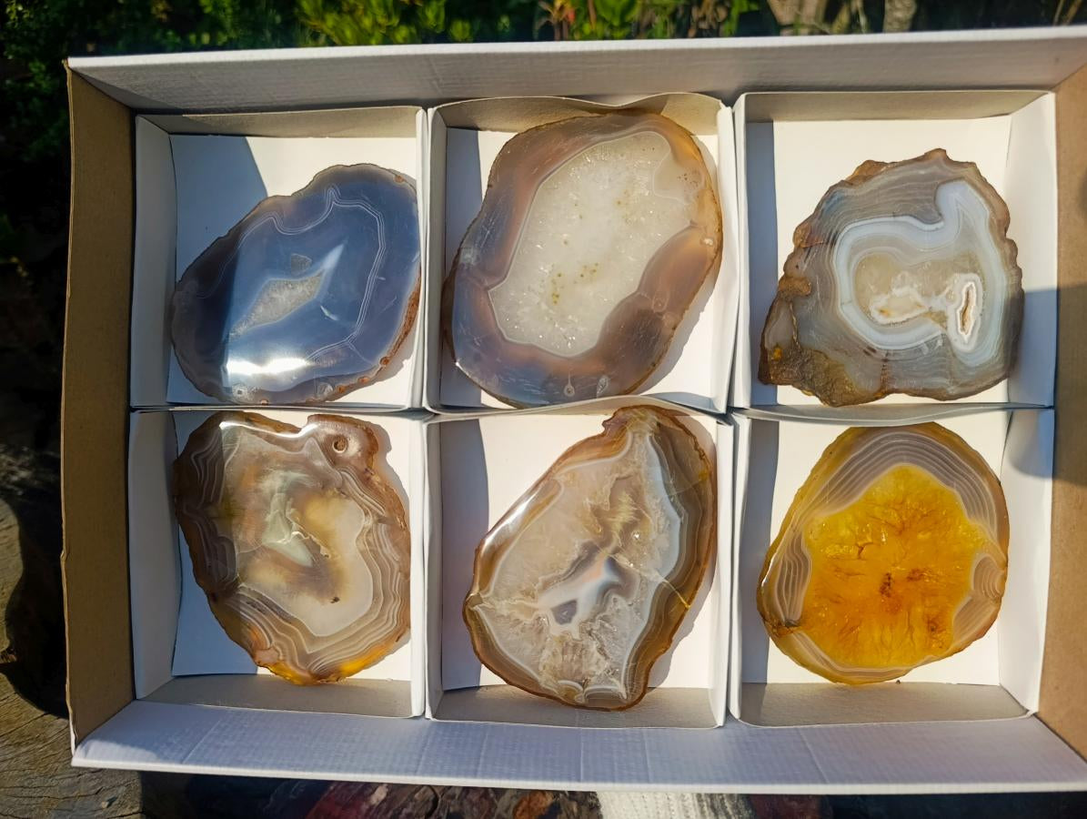Polished Banded Agate Slices with Natural Edging x 6 From Madagascar - Toprock Gemstones and Minerals 