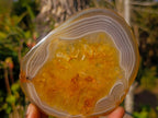 Polished Banded Agate Slices with Natural Edging x 6 From Madagascar - Toprock Gemstones and Minerals 
