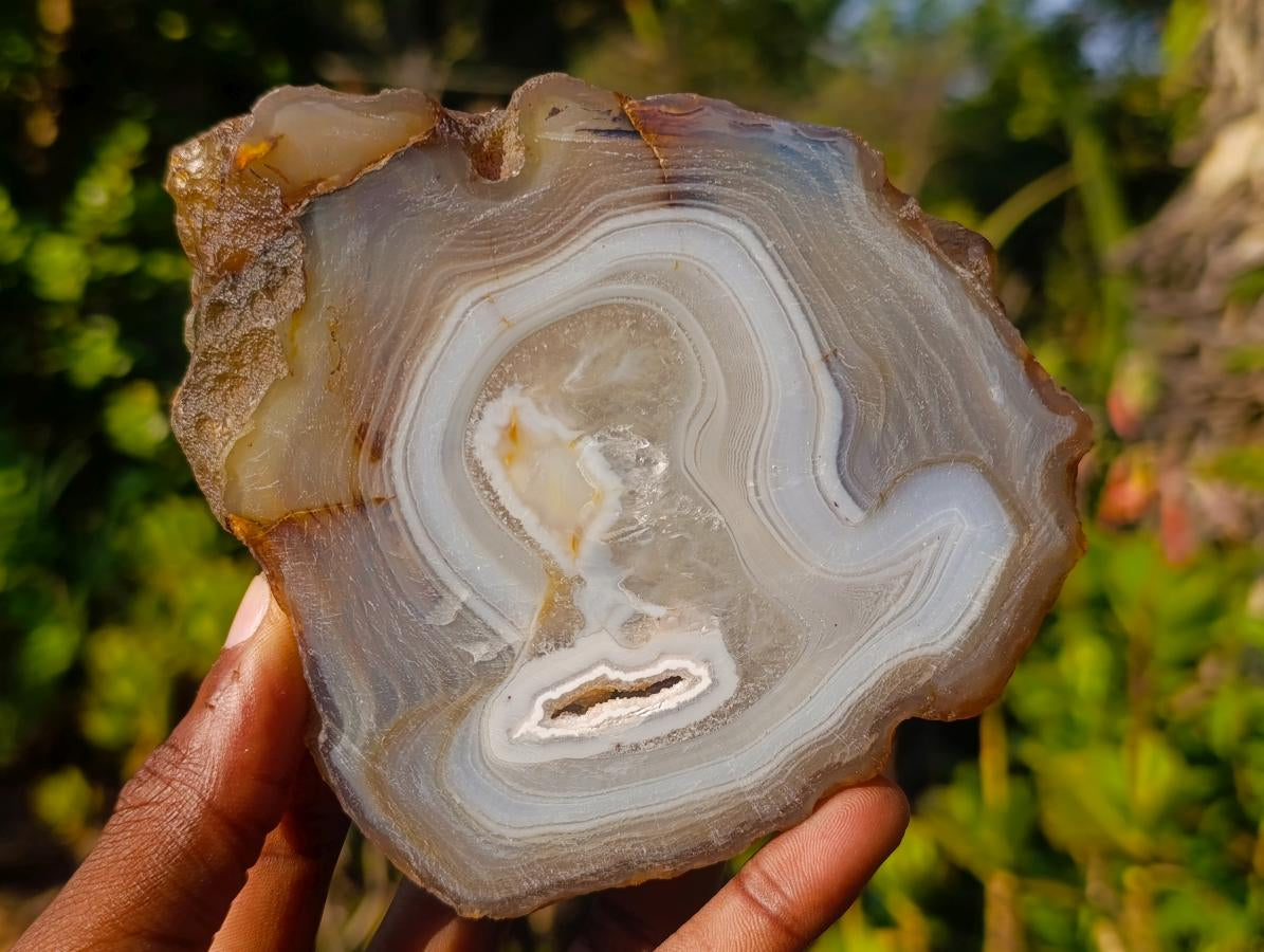 Polished Banded Agate Slices with Natural Edging x 6 From Madagascar - Toprock Gemstones and Minerals 
