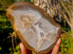 Polished Banded Agate Slices with Natural Edging x 6 From Madagascar - Toprock Gemstones and Minerals 