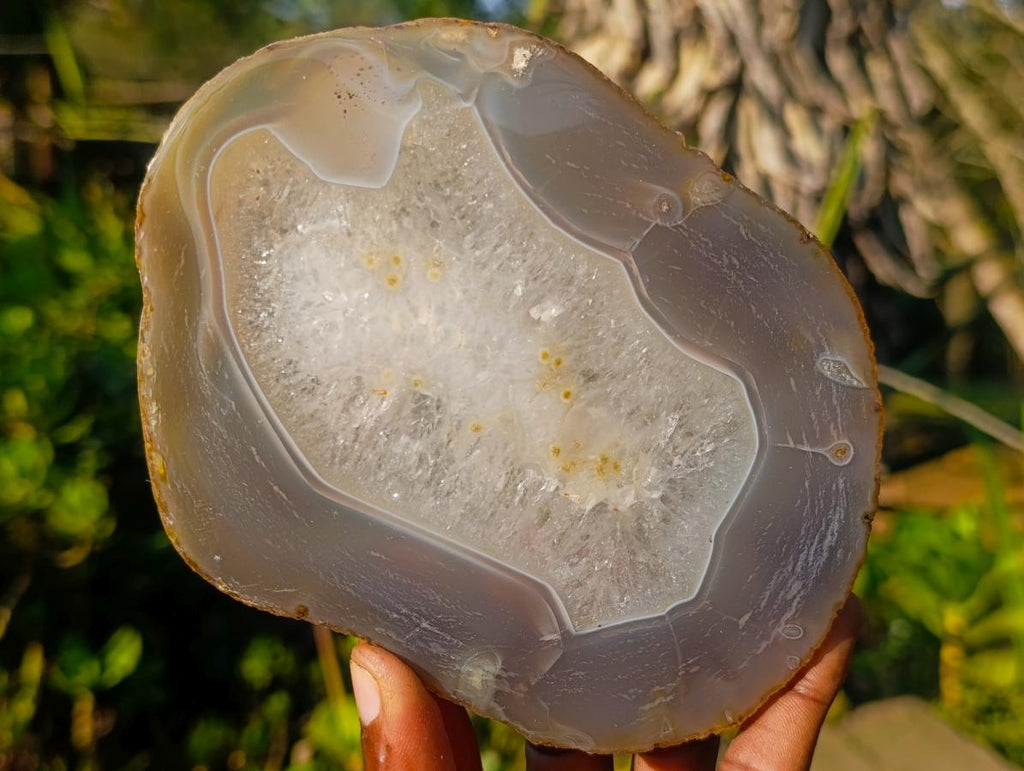 Polished Banded Agate Slices with Natural Edging x 6 From Madagascar - Toprock Gemstones and Minerals 