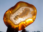 Polished Banded Agate Slices with Natural Edging x 6 From Madagascar - Toprock Gemstones and Minerals 