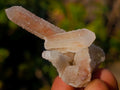 Natural Hematoid Tinted Drusy Fairy Spirit Quartz Single Crystals x 70 From South Africa - Toprock Gemstones and Minerals 