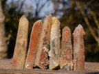Natural Hematoid Tinted Drusy Fairy Spirit Quartz Single Crystals x 70 From South Africa - Toprock Gemstones and Minerals 