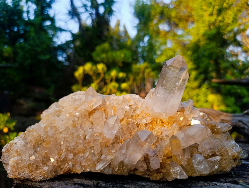 Natural Large Clear Golden Limonite Quartz Cluster x 1 From Madagascar - Toprock Gemstones and Minerals 