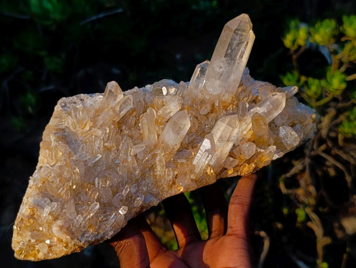 Natural Large Clear Golden Limonite Quartz Cluster x 1 From Madagascar - Toprock Gemstones and Minerals 