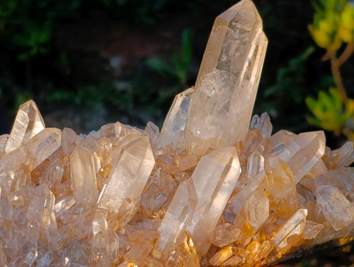 Natural Large Clear Golden Limonite Quartz Cluster x 1 From Madagascar - Toprock Gemstones and Minerals 