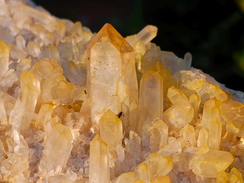 Natural Large Clear Golden Limonite Quartz Cluster x 1 From Madagascar - Toprock Gemstones and Minerals 