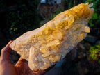 Natural Large Clear Golden Limonite Quartz Cluster x 1 From Madagascar - Toprock Gemstones and Minerals 