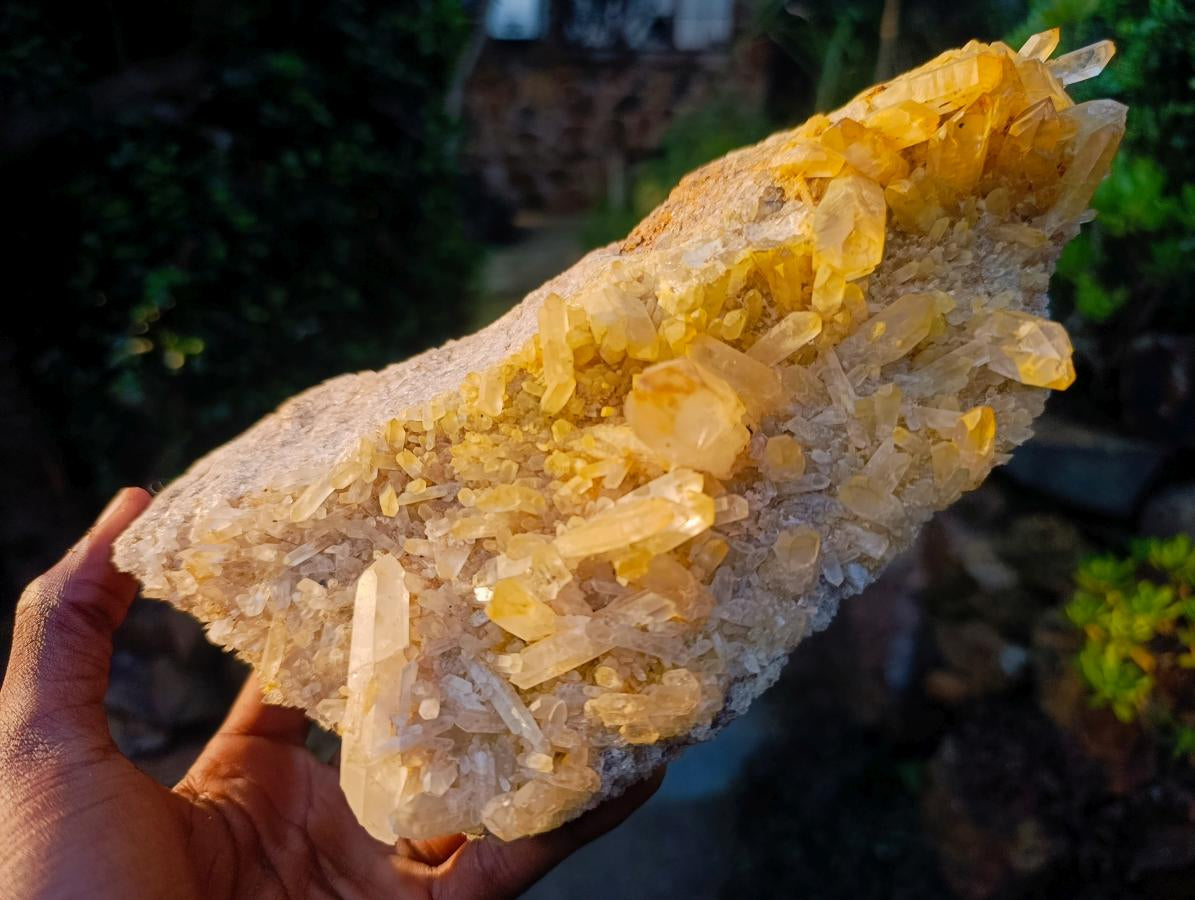 Natural Large Clear Golden Limonite Quartz Cluster x 1 From Madagascar - Toprock Gemstones and Minerals 