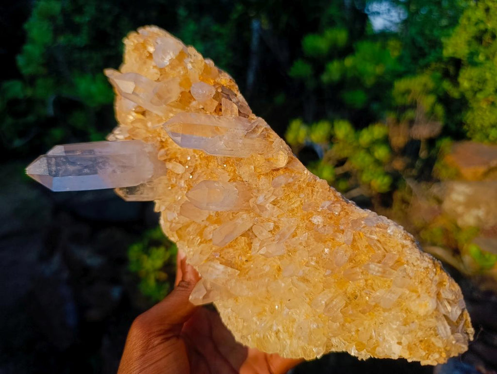 Natural Large Clear Golden Limonite Quartz Cluster x 1 From Madagascar - Toprock Gemstones and Minerals 
