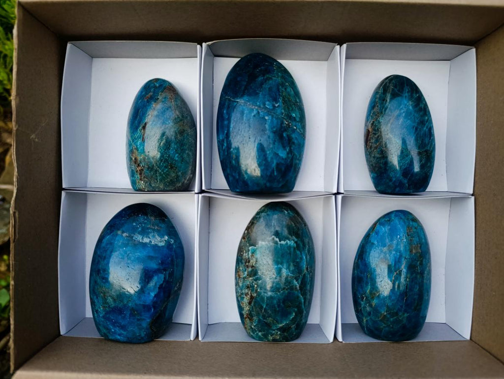 Polished Blue Apatite Standing Display Pieces x 6 From Betroka, Madagascar - Toprock Gemstones and Minerals 