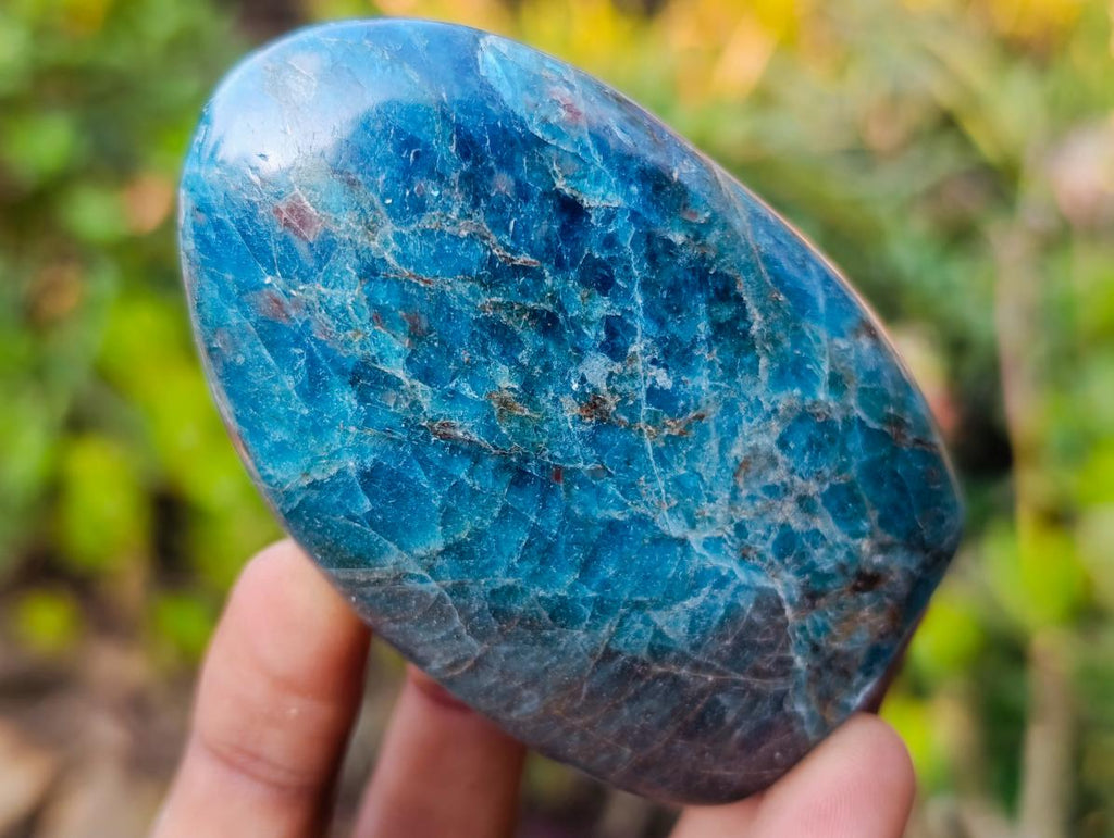 Polished Blue Apatite Standing Display Pieces x 6 From Betroka, Madagascar - Toprock Gemstones and Minerals 