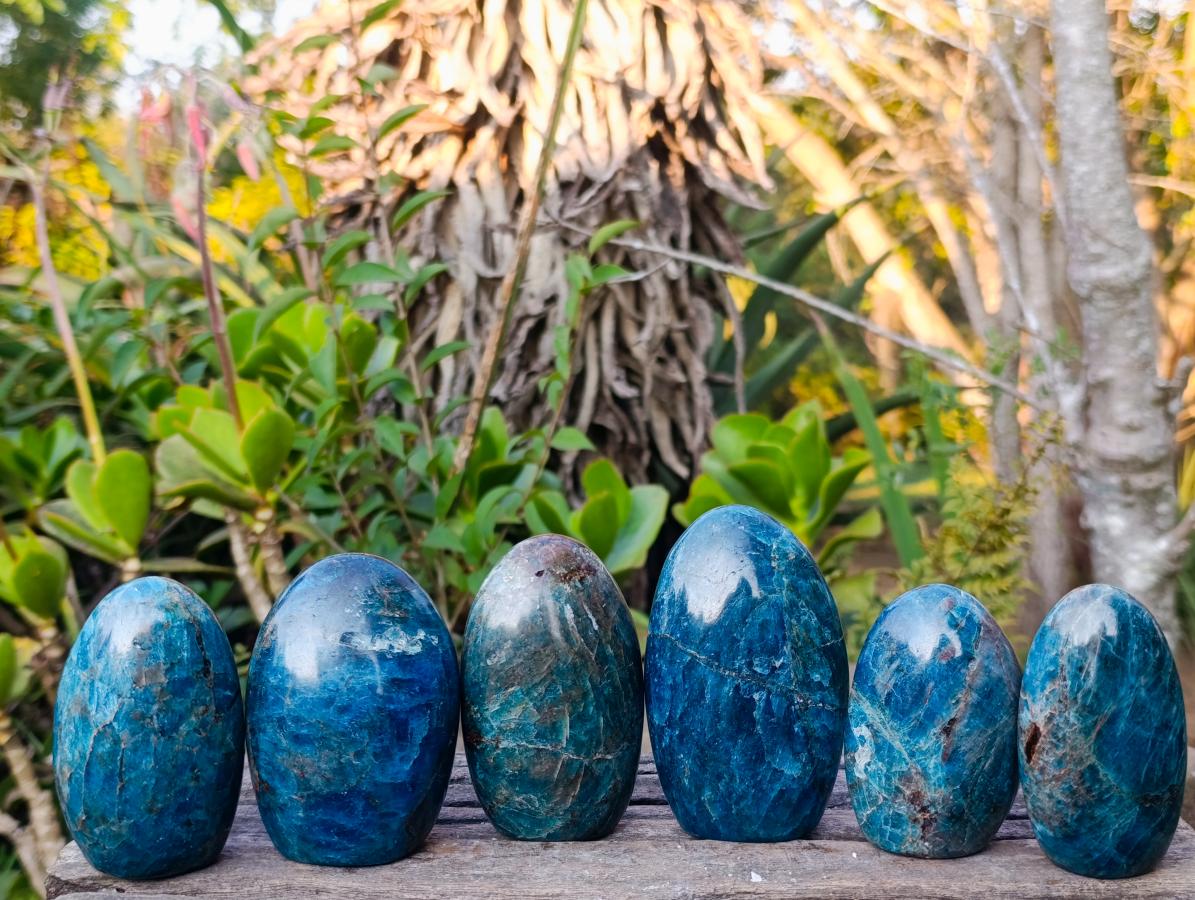 Polished Blue Apatite Standing Display Pieces x 6 From Betroka, Madagascar - Toprock Gemstones and Minerals 