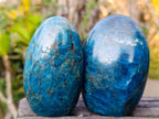 Polished Blue Apatite Standing Display Pieces x 6 From Betroka, Madagascar - Toprock Gemstones and Minerals 