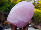Polished Rose Quartz Standing Display Pieces x 3 From Zimbabwe - Toprock Gemstones and Minerals 