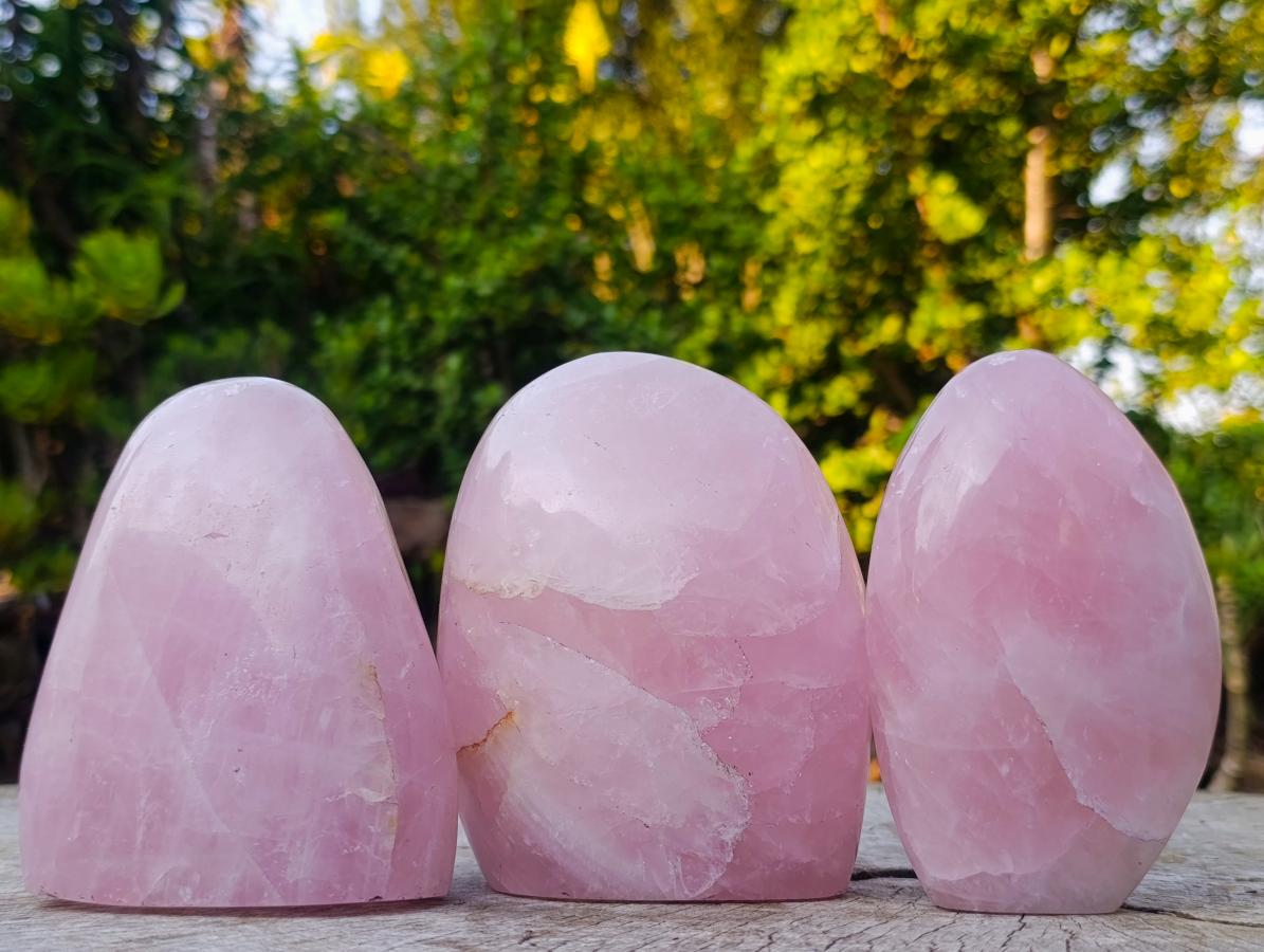 Polished Rose Quartz Standing Display Pieces x 3 From Zimbabwe - Toprock Gemstones and Minerals 
