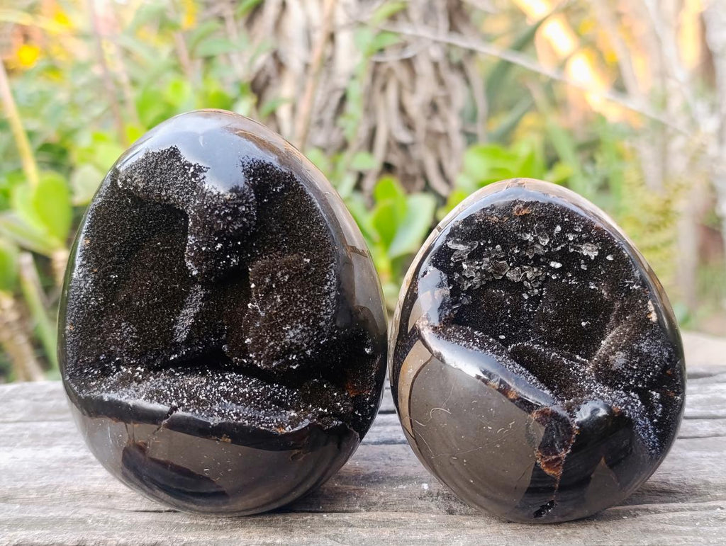 Polished Septerye Sauvage "Dragons Egg" Geodes x 2 From Mahajanga, Madagascar - Toprock Gemstones and Minerals 