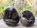 Polished Septerye Sauvage "Dragons Egg" Geodes x 2 From Mahajanga, Madagascar - Toprock Gemstones and Minerals 