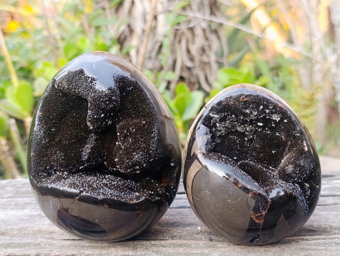 Polished Septerye Sauvage "Dragons Egg" Geodes x 2 From Mahajanga, Madagascar - Toprock Gemstones and Minerals 