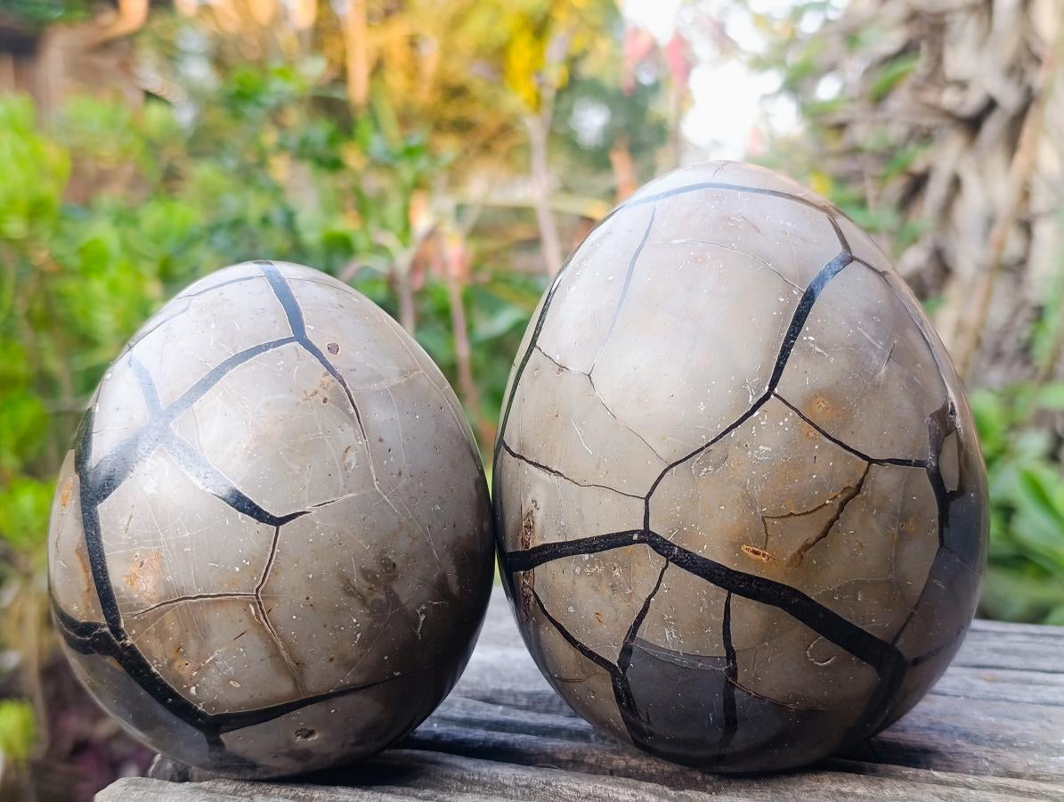 Polished Septerye Sauvage "Dragons Egg" Geodes x 2 From Mahajanga, Madagascar - Toprock Gemstones and Minerals 