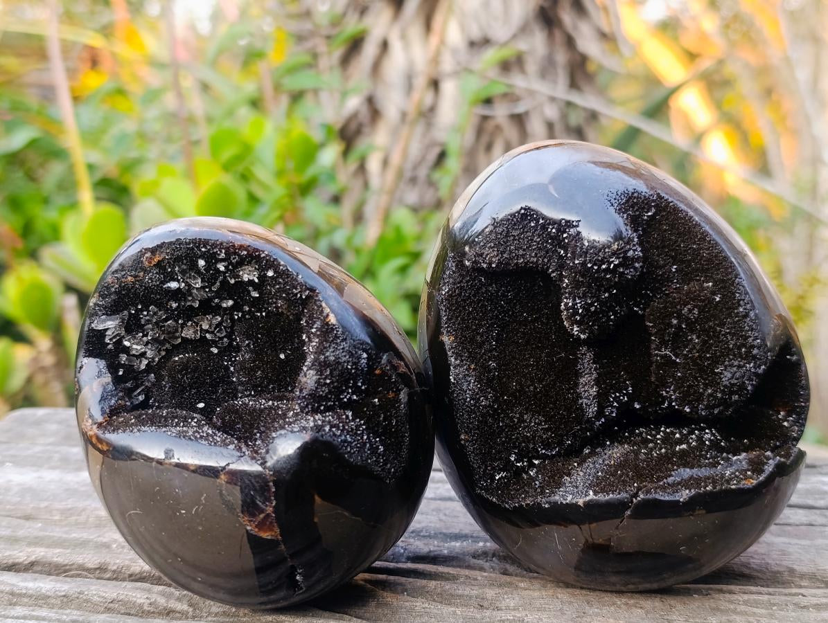 Polished Septerye Sauvage "Dragons Egg" Geodes x 2 From Mahajanga, Madagascar - Toprock Gemstones and Minerals 