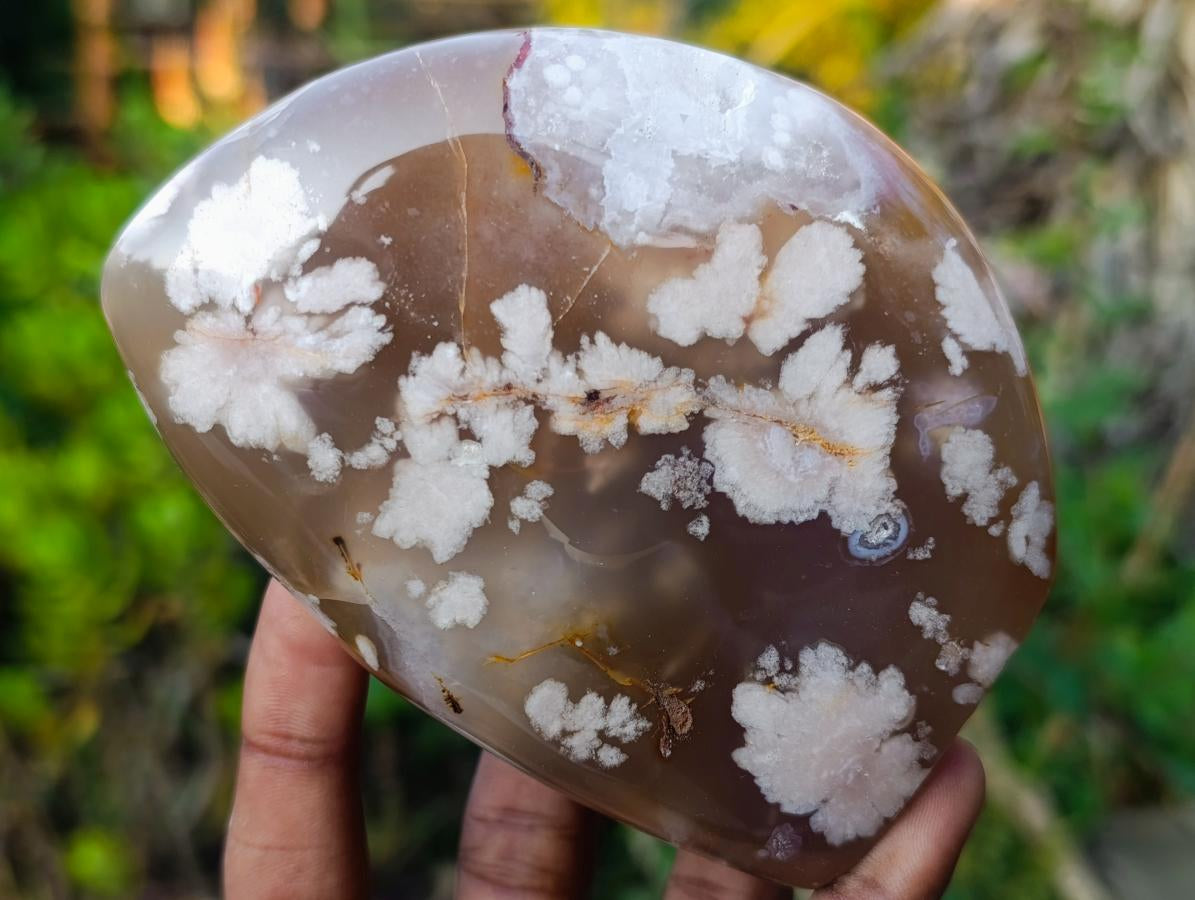Polished Flower Agate Standing Display Pieces x 2 From Antsahalova, Madagascar - Toprock Gemstones and Minerals 
