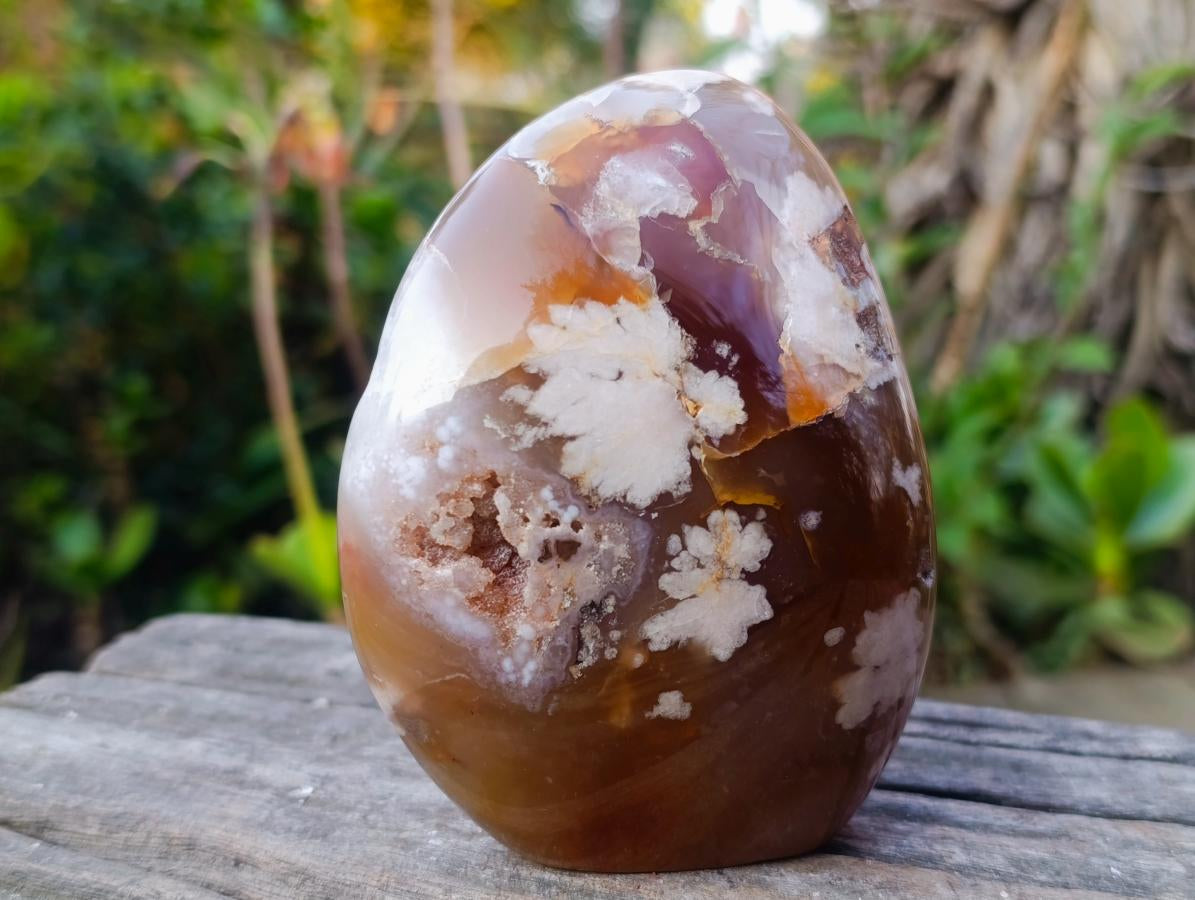 Polished Flower Agate Standing Display Pieces x 2 From Antsahalova, Madagascar - Toprock Gemstones and Minerals 