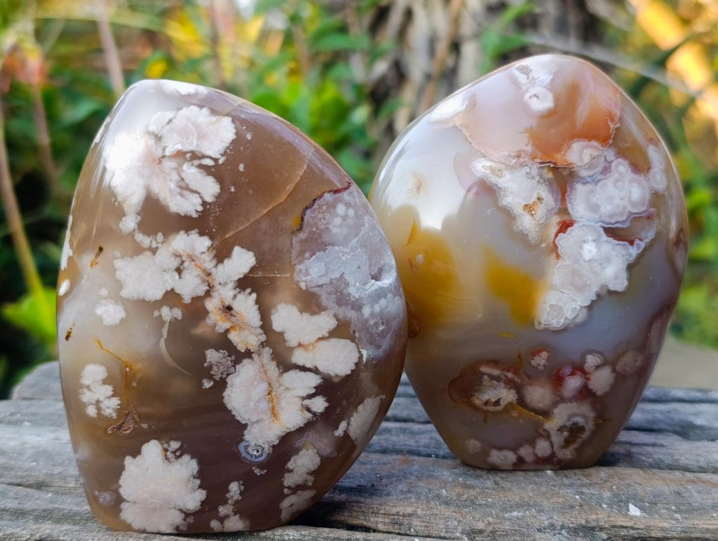 Polished Flower Agate Standing Display Pieces x 2 From Antsahalova, Madagascar - Toprock Gemstones and Minerals 