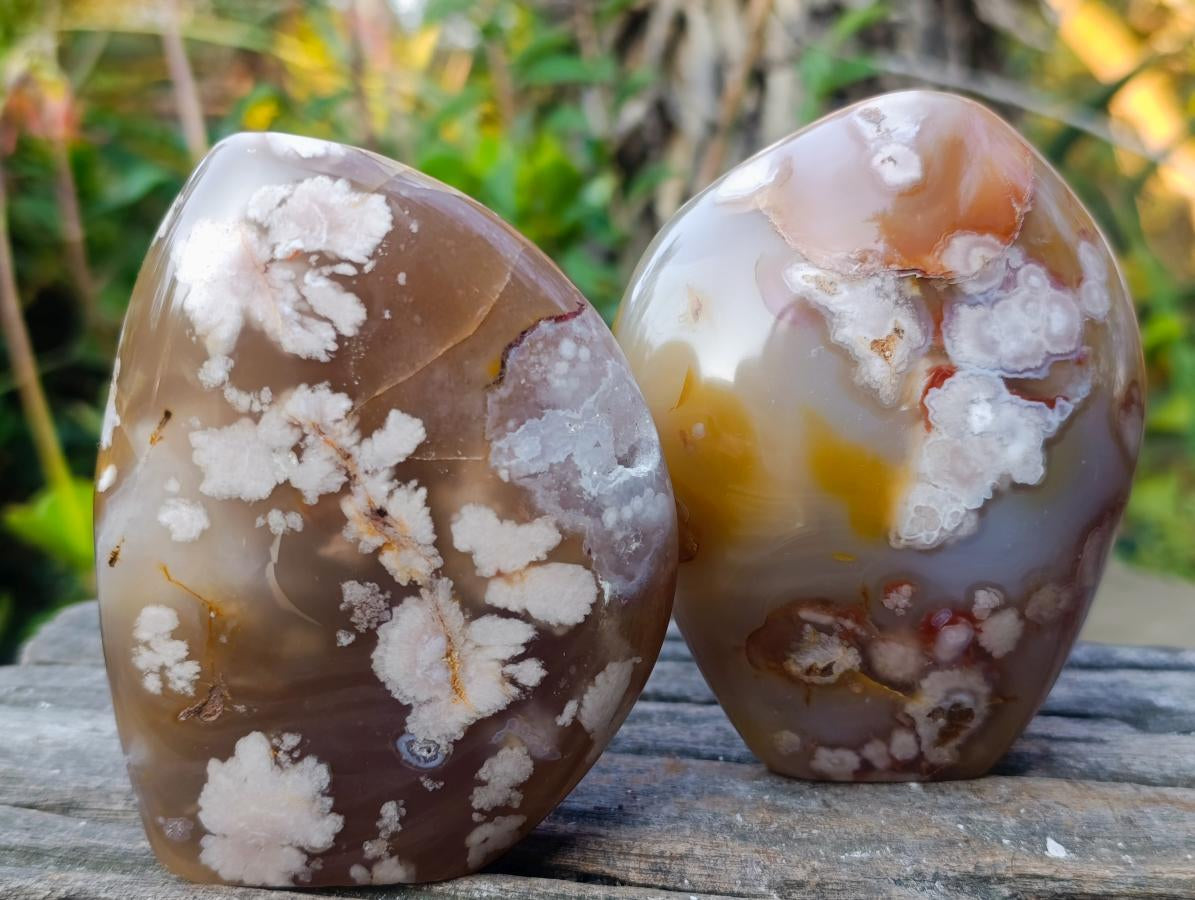 Polished Flower Agate Standing Display Pieces x 2 From Antsahalova, Madagascar - Toprock Gemstones and Minerals 