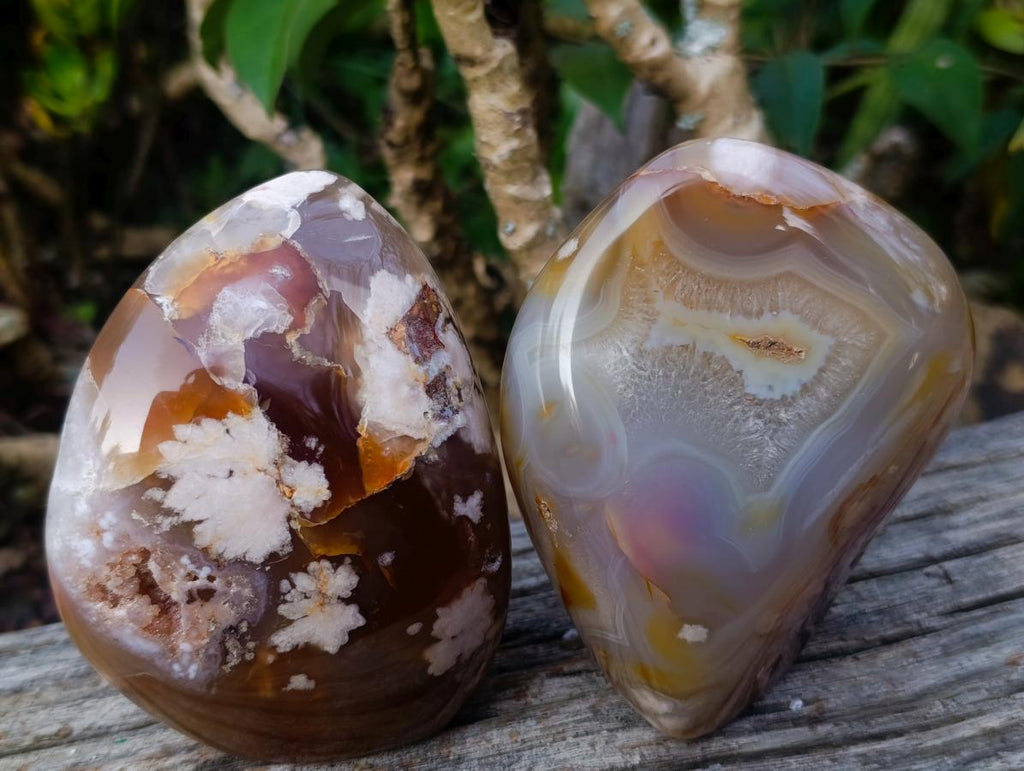 Polished Flower Agate Standing Display Pieces x 2 From Antsahalova, Madagascar - Toprock Gemstones and Minerals 
