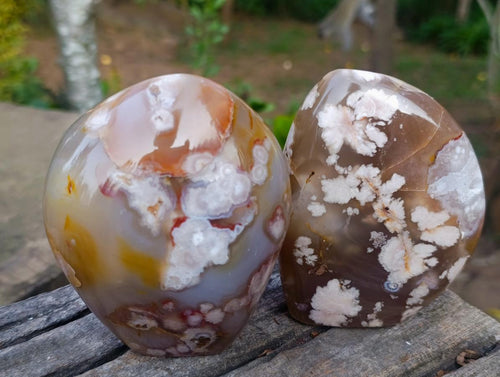 Polished Flower Agate Standing Display Pieces x 2 From Antsahalova, Madagascar - Toprock Gemstones and Minerals 