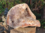 Polished XXL Agate with Smokey Amethyst Geode Centre x 1 From Maintirano, Madagascar - Toprock Gemstones and Minerals 