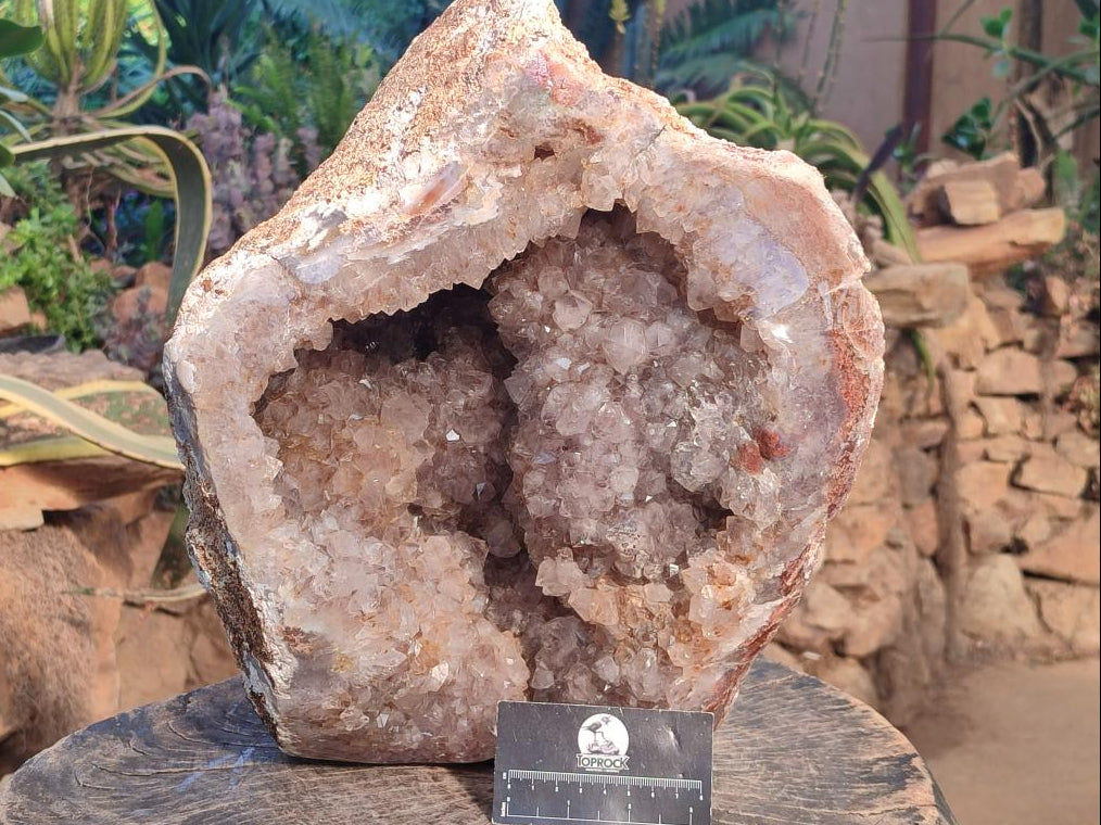 Polished XXL Agate with Smokey Amethyst Geode Centre x 1 From Maintirano, Madagascar - Toprock Gemstones and Minerals 