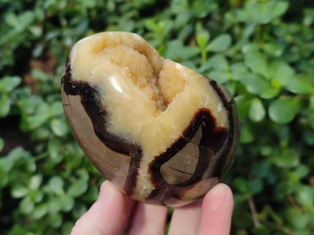 Polished Septerye Eggs x 2 From Mahajanga, Madagascar - Toprock Gemstones and Minerals 