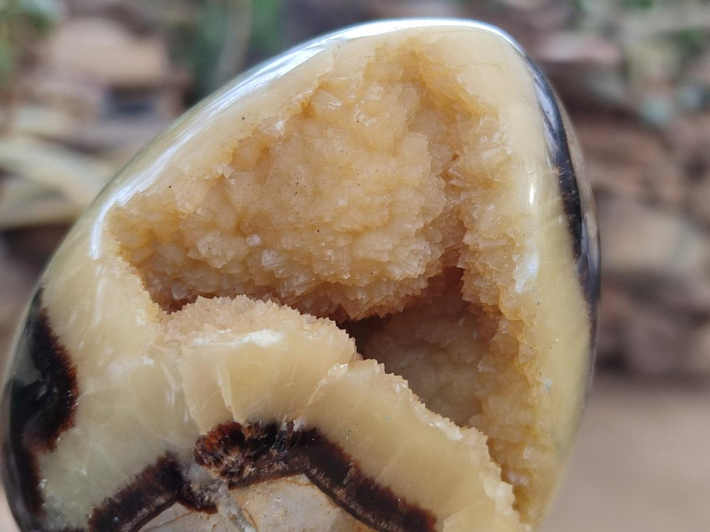 Polished Septerye Eggs x 2 From Mahajanga, Madagascar - Toprock Gemstones and Minerals 