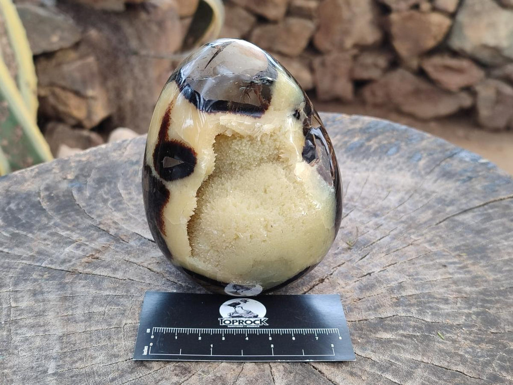 Polished Septerye Eggs x 2 From Mahajanga, Madagascar - Toprock Gemstones and Minerals 
