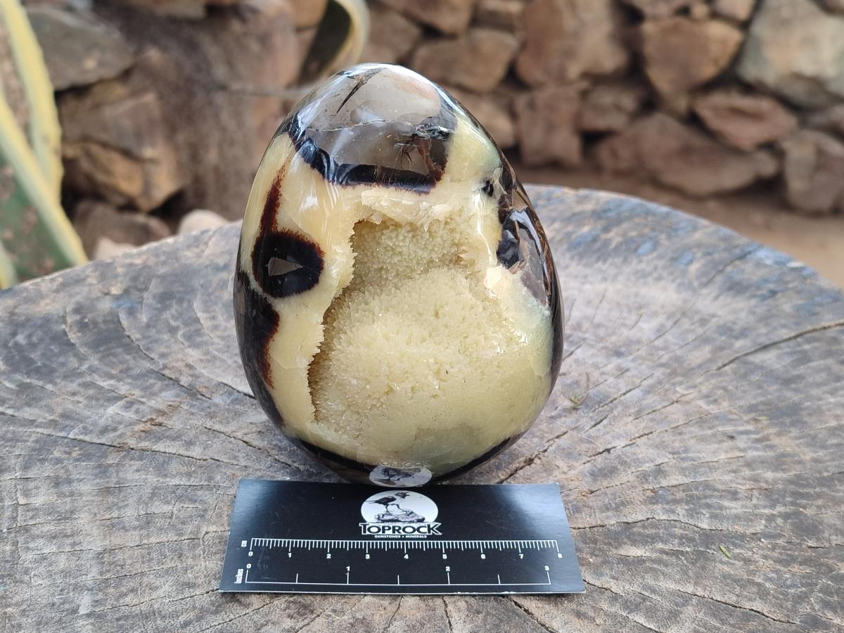 Polished Septerye Eggs x 2 From Mahajanga, Madagascar - Toprock Gemstones and Minerals 