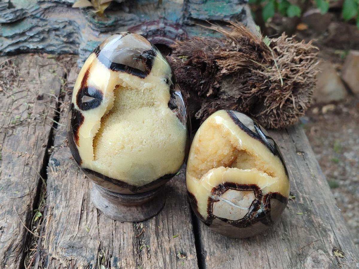 Polished Septerye Eggs x 2 From Mahajanga, Madagascar - Toprock Gemstones and Minerals 