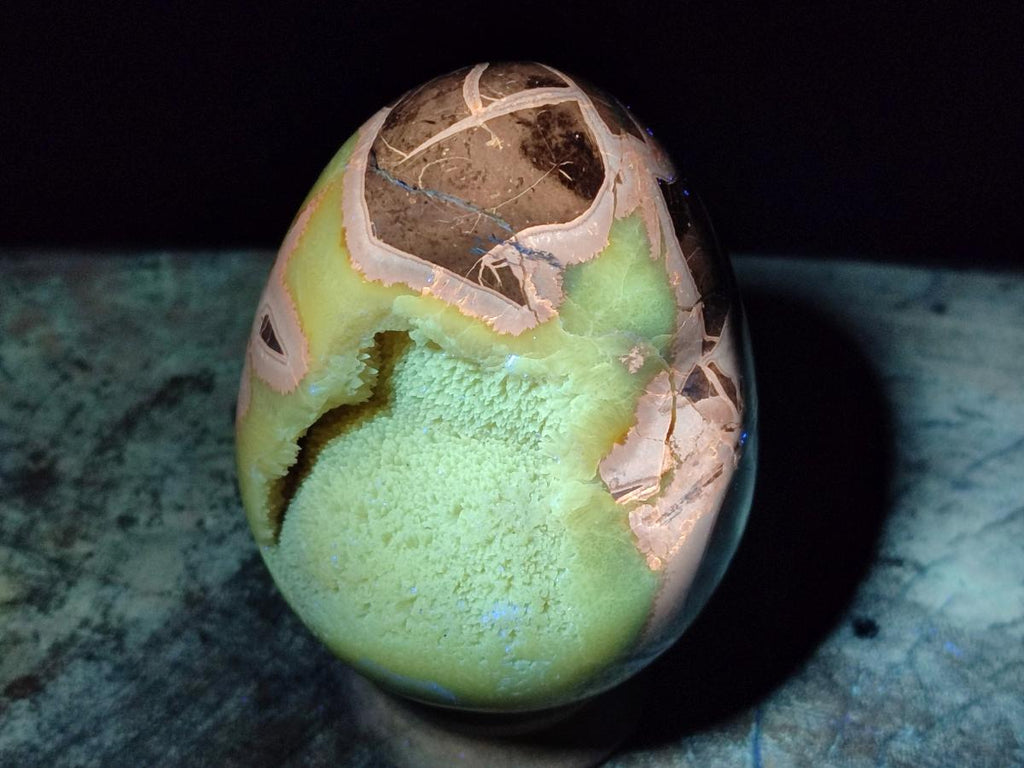 Polished Septerye Eggs x 2 From Mahajanga, Madagascar - Toprock Gemstones and Minerals 