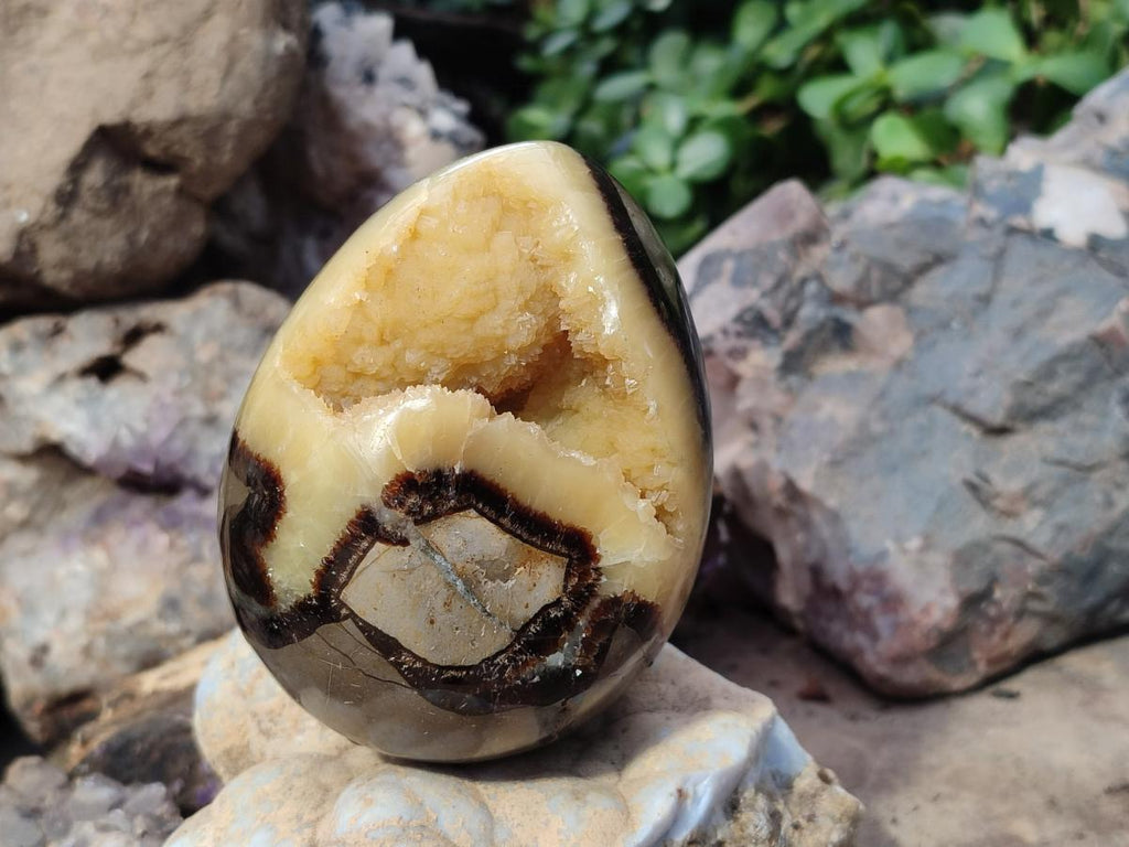 Polished Septerye Eggs x 2 From Mahajanga, Madagascar - Toprock Gemstones and Minerals 