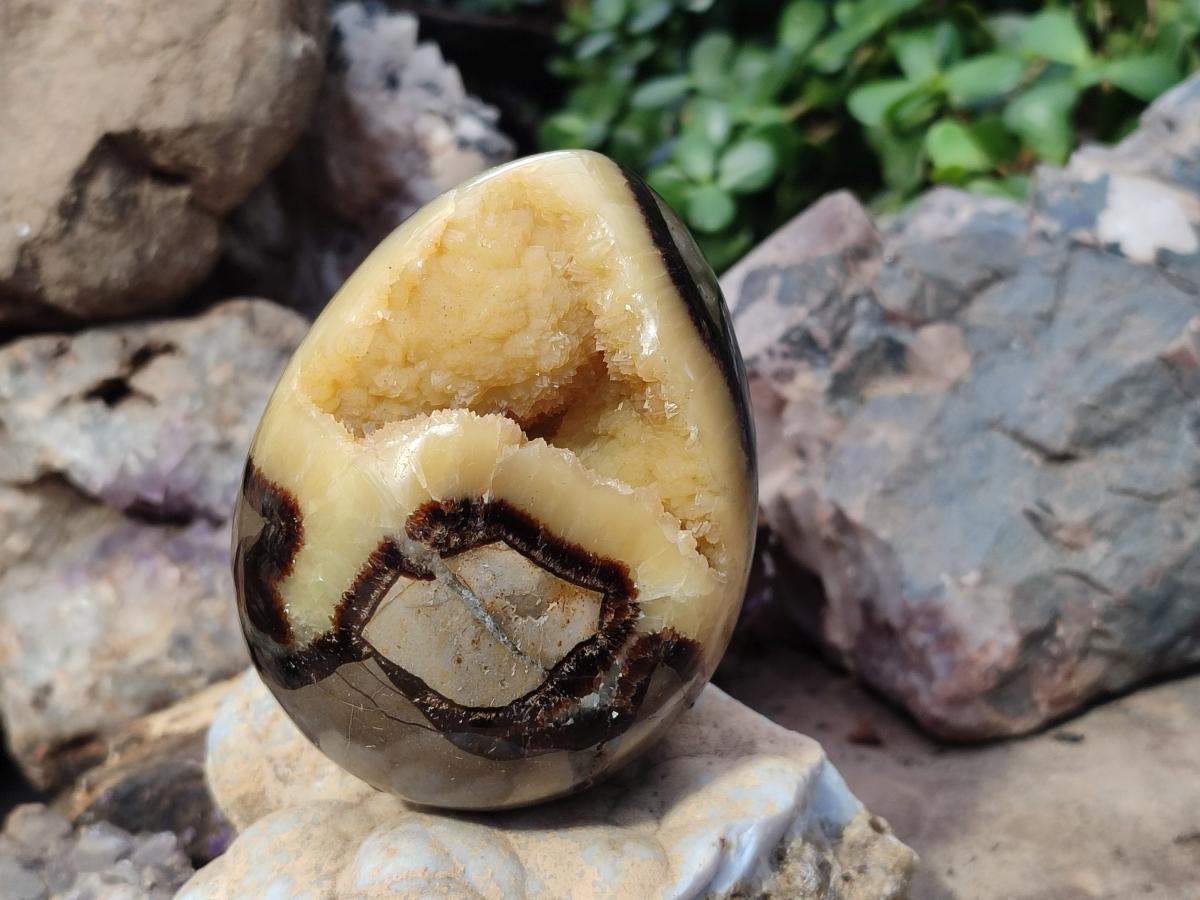 Polished Septerye Eggs x 2 From Mahajanga, Madagascar - Toprock Gemstones and Minerals 
