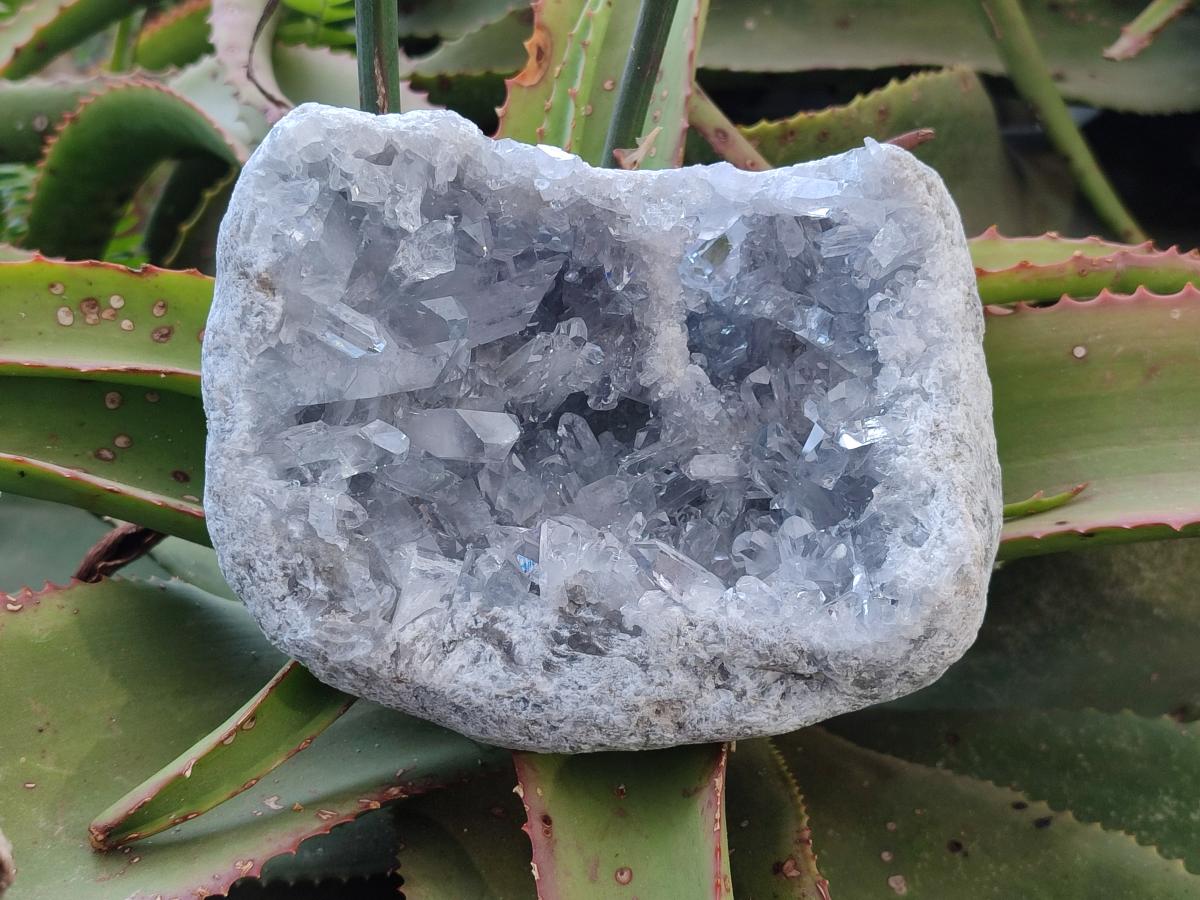 Natural Blue Celestite Geode Specimens x 2 From Sakoany, Madagascar - Toprock Gemstones and Minerals 