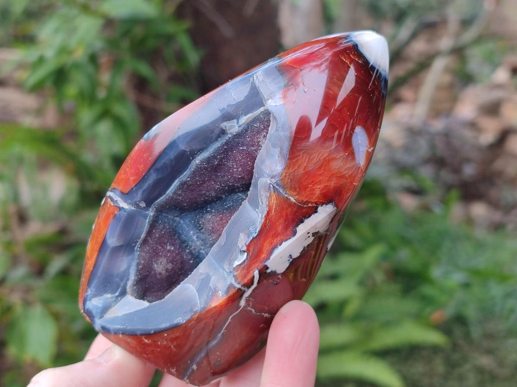 Polished Carnelian Agate Gemstone Flames x 6 From Madagascar - Toprock Gemstones and Minerals 